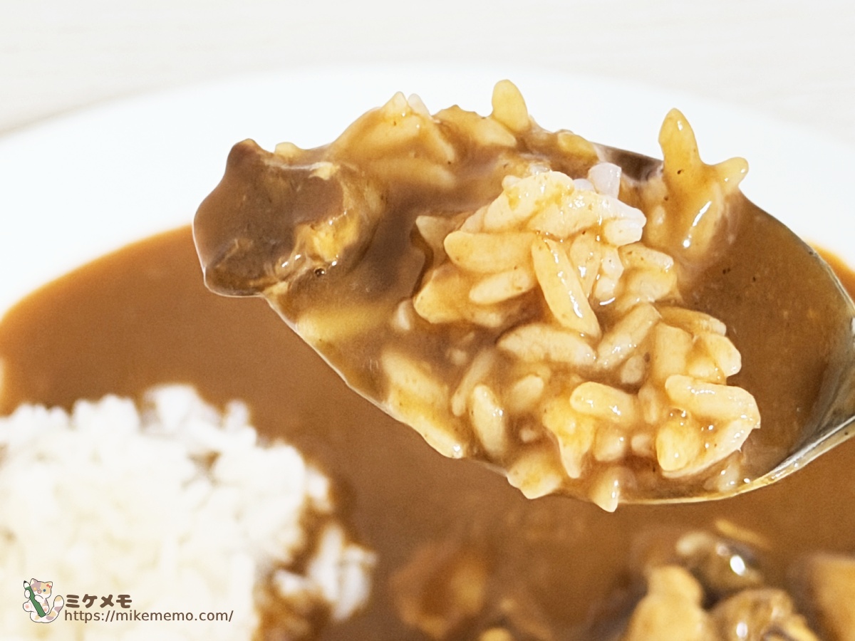 カレーとごはんを一緒にすくったスプーン