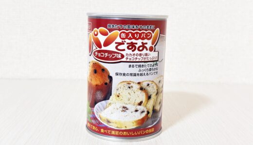名古屋ライトハウス「パンですよ！」チョコチップ味｜味・柔らかさ・取り出し方
